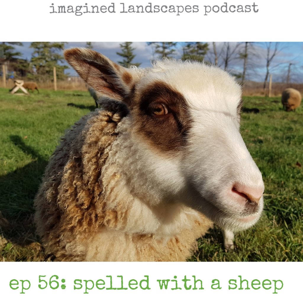 Spelled With a Sheep: Episode 56 of the Imagined Landscapes Podcast for knitters